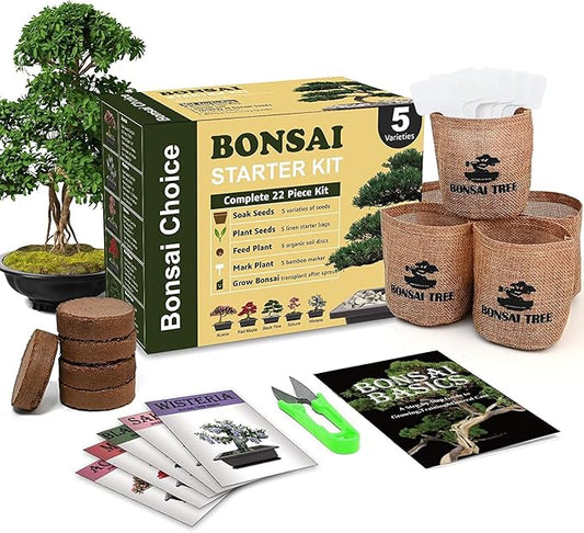 Indoor Starter Kit with Complete Planting Tools, Gardening DIY Gift for Plant Lovers