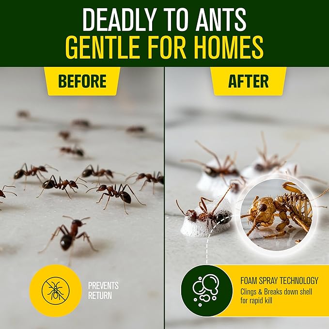 Green Guard Pest Control Spray - Indoor & Outdoor Killer of Ants, Roaches, Spiders & Other Crawling Insects, Safe Around Children & Pets, Plant-Based, Pleasant Scent (Lemongrass Blast, 16oz)