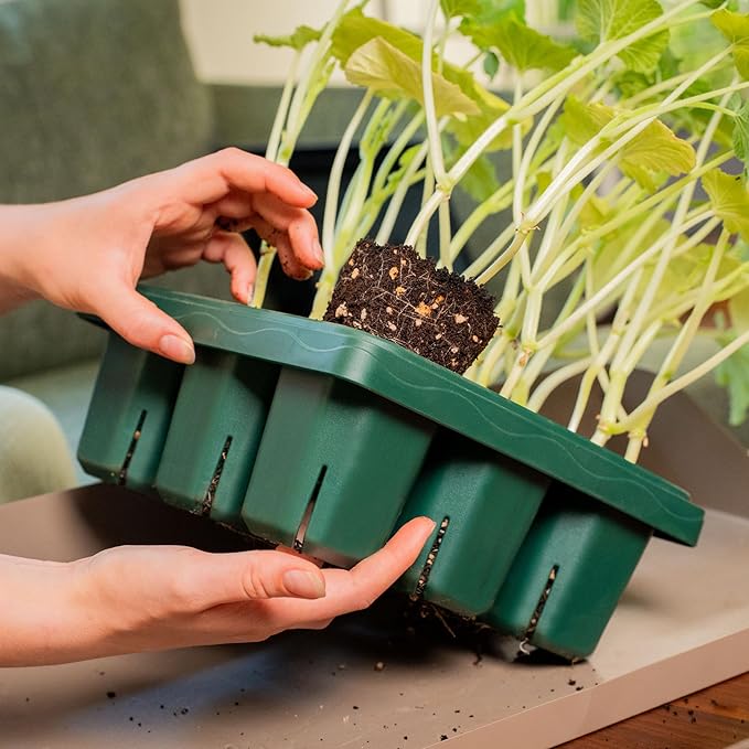 Vego garden Giga Seedling Trays - 4 Pack, 9-Cell UV-Resistant Reusable Starter Trays for Greenhouse/Garden (No Lids)