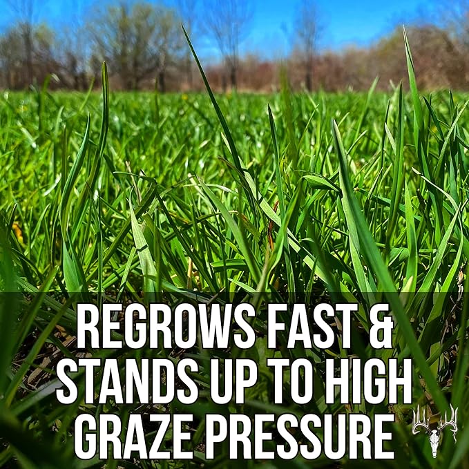 Memas Moo Mix, 8LB EcoPack, Farm Pasture Seed Blend for Horse, Cattle, Pig, Goat, Chicken, Duck, Sheep & Livestock, Grow Alfalfa & Perennial Grasses Fields, Graze Resistant, Cold Tolerant