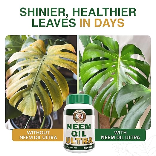 Nani’s Ultra Neem Spray Oil for Plants 8.5 oz – Cold-Pressed Concentrate Blend with 4 Potent Oils – Dilute to Make Organic Neem Oil for Plants - Indoor & Outdoor Use For Healthier Horticultural Growth