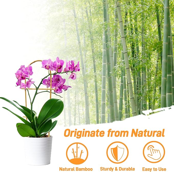 Avalution 10 Pack Bamboo U Trellis for Climbing Plants, 2ft Garden Ladder Trellis for Potted Plants Indoor, Ladder Small Plant Support Trellis for Houseplants Ivy Hoya Vine Monstera