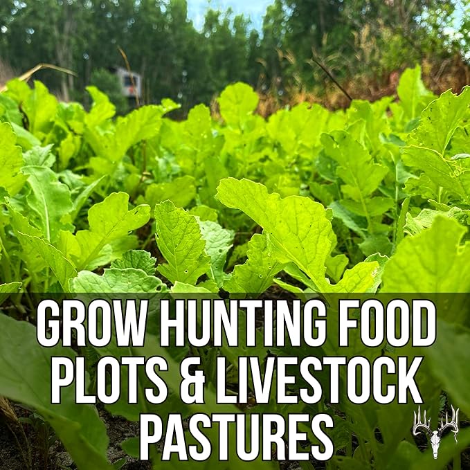 Branson’s Buffalo Blend, 25LB Bulk, Whitetail Food Plot Seed for Deer, Turkey, Pheasant, Dove, Elk & Duck, Plant Seeds Grow Forage to Feed & Attract Wildlife to Hunting Plots, No Till