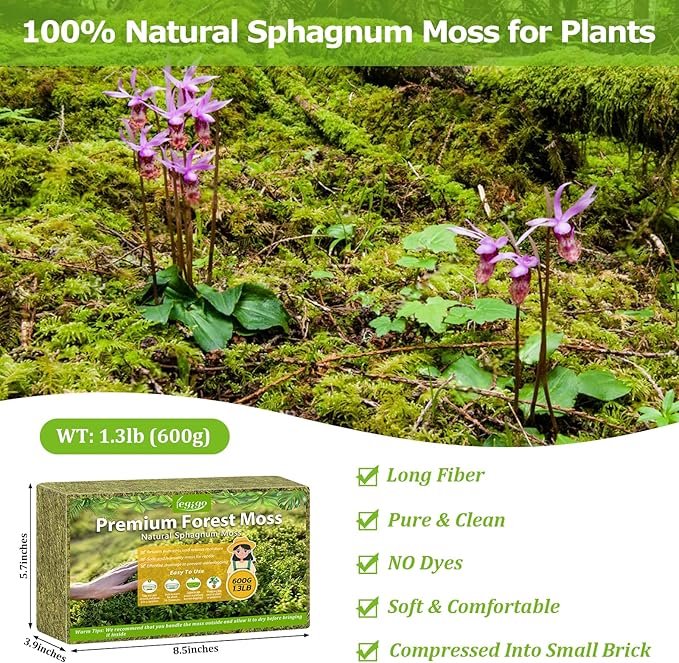 Legigo 1.3LBS Premium Forest Moss for Plants, 25 QT Natural Green Sphagnum Moss for Potted Plants, Dried Orchid Moss Potting Mix, Soft Real Moss Decorative for Houseplants Orchids Succulents Reptiles