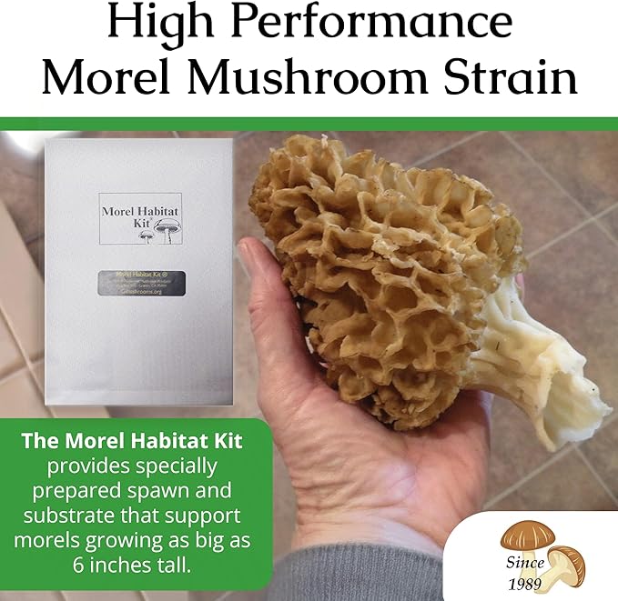 MOREL HABITAT KIT® Morel Mushroom Growing Kit (Morchella esculenta), Compatible with Any Soil Type Across The U.S., Outdoor Garden & Backyard Cultivation Set with Full Instructions - Made in The USA
