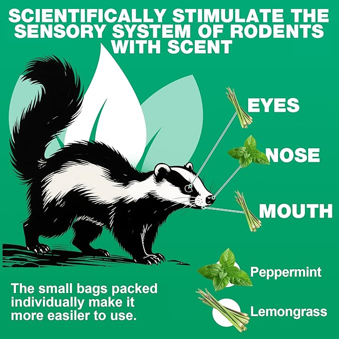 24 Pack Skunk & Raccoon Repellent Ball, Natural Rodent Repellent Balls for House, Squirrel Mice Repellents for Cars, Keeping Skunk Out of Car, Garage, Attic, RV Mouse Deterrents Pet Safe