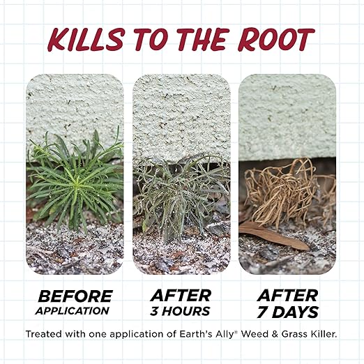 Earth's Ally Weed and Grass Killer 1 gal | Safe, Pet-Friendly Natural Weed Control Spray for Driveways & Sidewalks, Ready-to-Use - Bee Safe, No Glyphosate Weed Killer [OMRI - Amazon]