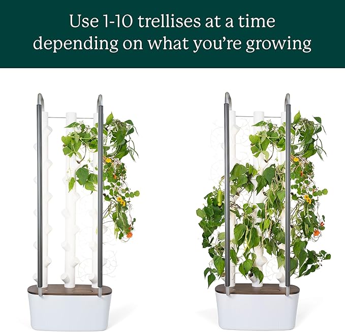 Gardyn Trellis Hydroponics Growing System Accessory That Supports Vining Indoor Plants – 5 Pack (for use with All Gardyn Vertical Indoor Garden Hydroponics Growing Systems and Tower Gardens)