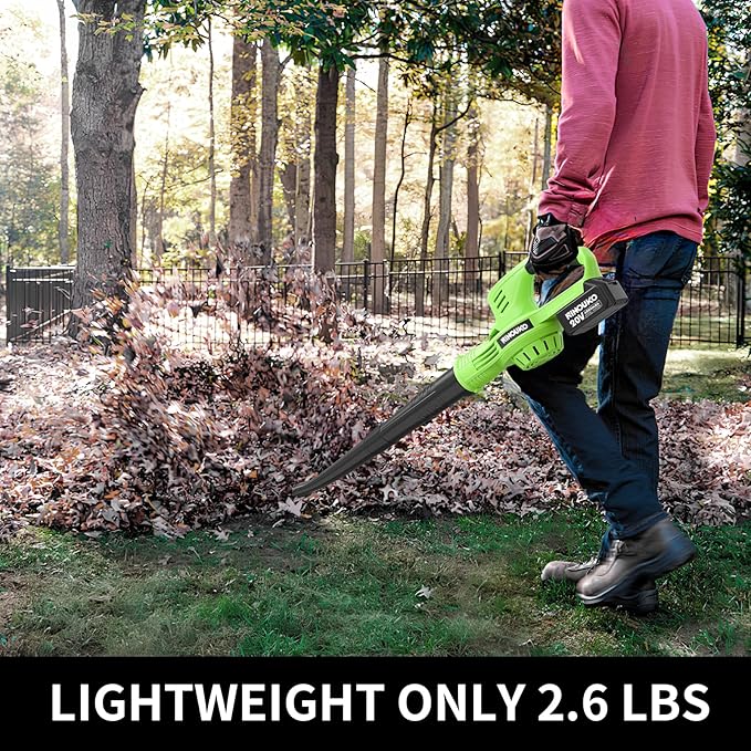 Leaf Blower Cordless, 20V Electric Cordless Leaf Blower with 8000mAh Battery and Charger, 2 Speed Modes, 150MPH Lightweight Battery Powered Leaf Blowers for Lawn Care, Patio, Blowing Leaves and Snow