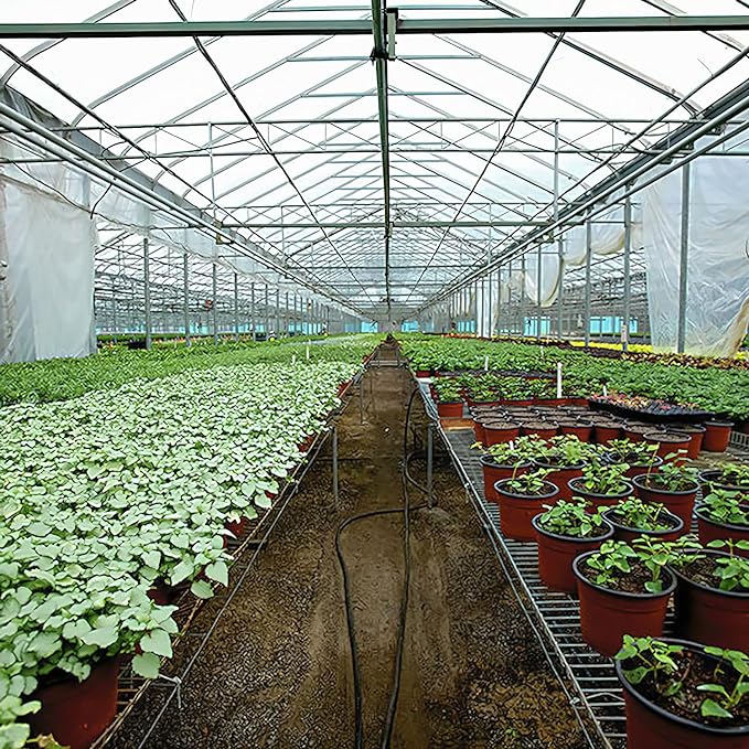 Greenhouse Plastic Sheeting 20x28 ft, 6 mil Thickness Replacement Cover, UV Resistant