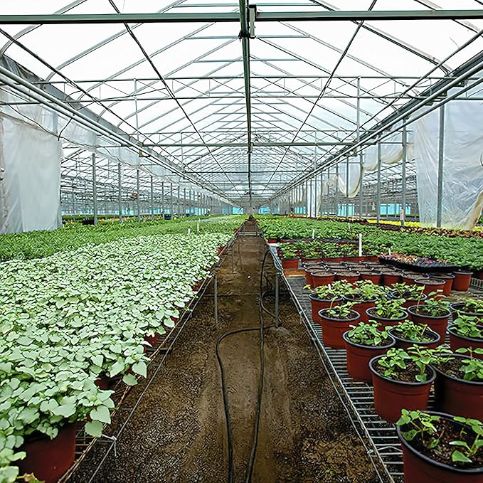 Greenhouse Plastic Sheeting 12x100 ft, 6 mil Thickness Replacement Cover, UV Resistant
