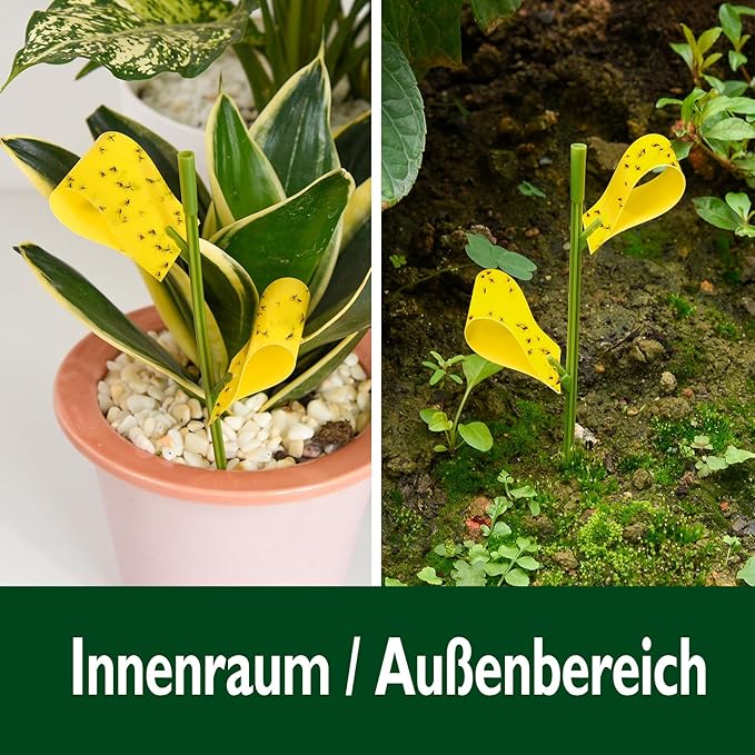 Garsum 42 Traps Sticky Houseplant Traps Gnat Yellow Insect Trap Indoor Fruit Fly Stakes Trap