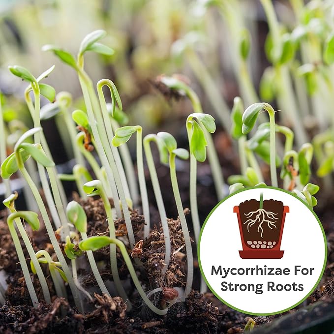 Perfect Plants Organic Seed Starter Soil Mix 4qt. | Contains Worm Castings and Mycorrhizae | Balanced Seed Sprouting Medium