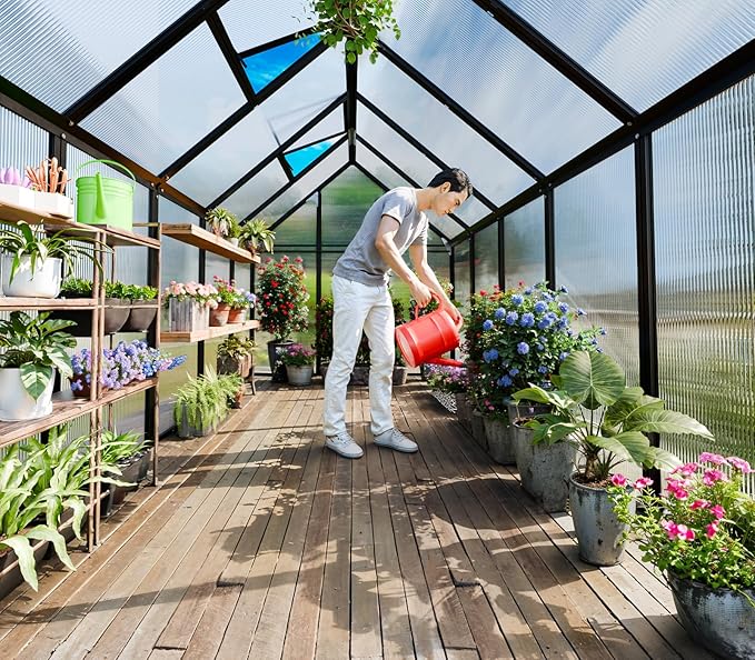 Outdoor Polycarbonate Greenhouse 10x6x6 FT Heavy Duty Aluminum Frame Outsides Green House Kit with Transparent Panels Windows Door for Backyard Garden, Walk in Plant Greenhouses,Black Thick Frame