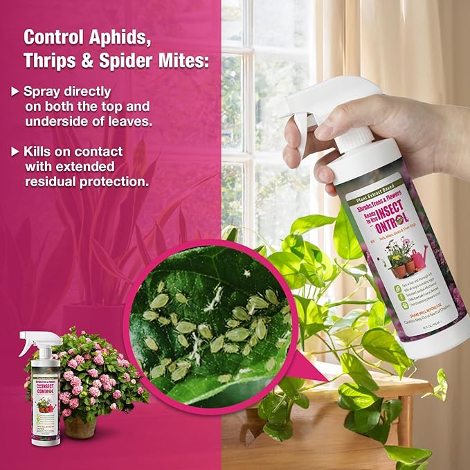 EcoVenger (Formerly EcoRaider) Garden Insect Control 16 oz, Plant Extract Based, Indoor & Outdoor, Kills Aphids, Mealybugs, Spider Mites and Gnats All Stages and Eggs, Non-Toxic Child & Pet Safe