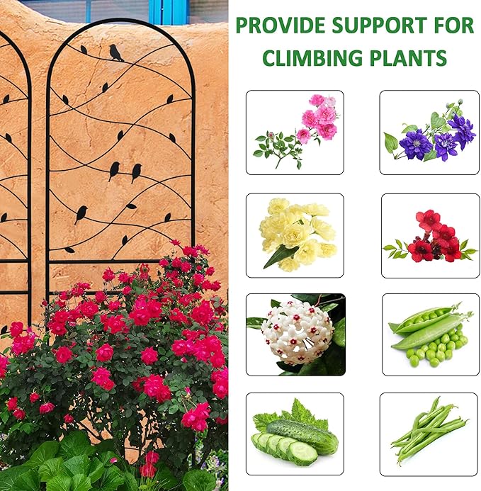 4 Pack Metal Garden Trellis 71" Tall Outdoor Climbing Plant Support for Roses, Flowers, Rustproof Durable Black Galvanized Tube, Lawn Garden Fence Decor Screen (4, Black birds-71 H)