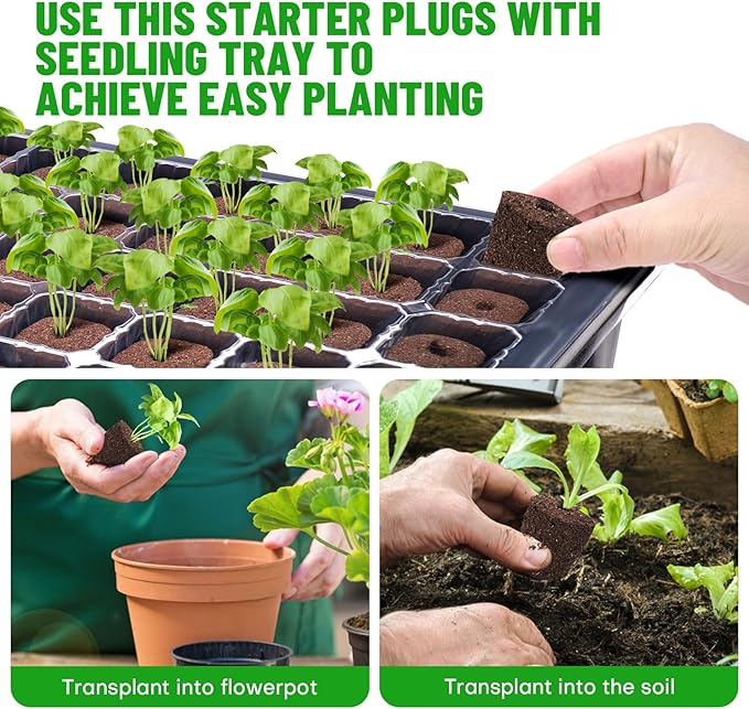 40 Pcs Grow Sponges with Tray, Starter Plugs for Seeds or Cuttings, Great for Soil, Tray or Planting Pods Plant Rooter, Promotes Herbs, Vegetables and Flowers Growth