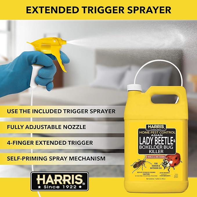 Harris Asian Lady Beetle, Japanese Beetle, and Box Elder Killer, Liquid Spray with Odorless and Non-Staining Extended Residual Kill Formula (Gallon)
