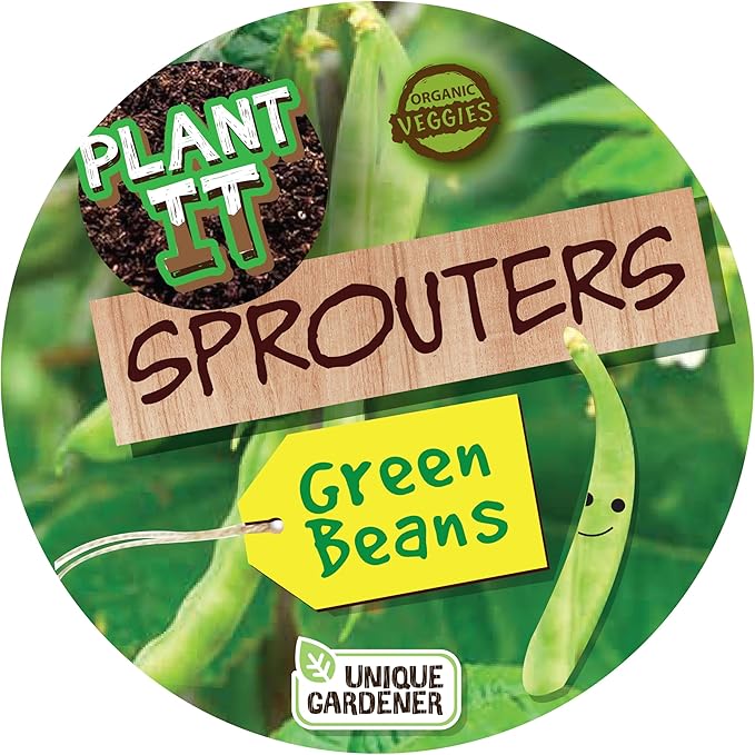 Plant-It Starters Plant Seeds 4 Variety Pack, DIY Indoor Succulents and Live Plants for Home or Garden Planting, Assorted Seed