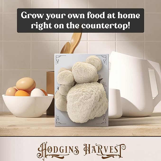 Lion's Mane Mushroom Grow Kit | USDA Certified Organic | Grow Your Own Delicious Gourmet Mushrooms at Home
