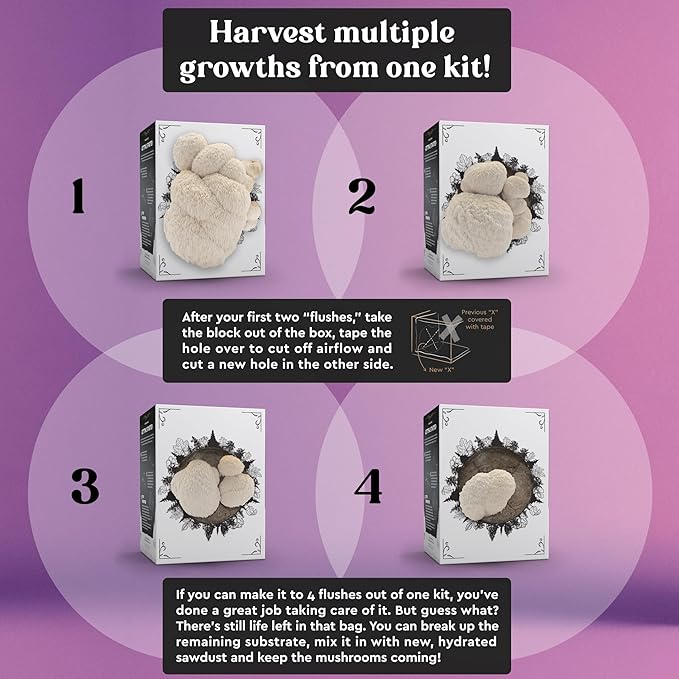 Lion's Mane Mushroom Grow Kit | USDA Certified Organic | Grow Your Own Delicious Gourmet Mushrooms at Home