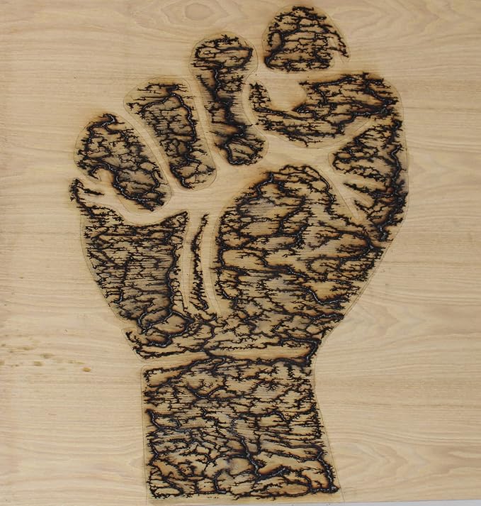 Lichtenberg Machine 10kV 30mA Neon Sign Transformer Fractal Wood Burning Machine Burner Device Neon Power Supply for Real Glass Neon Not Led High Voltage 10000V