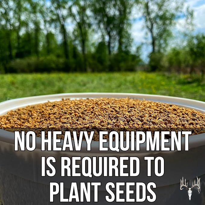 Dwight’s Pure Sugar Beet Seed for Deer, 50 LB Bulk, Planting Seeds Grow Whitetail & Turkey Hunting Food Plot Attractants, Winter Root Crop & Cold Tolerant Forage Feed Wildlife, No Coat