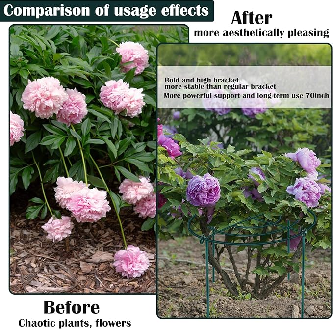 2Set Metal Peony Grid Cages, 30"H X 14"D Large Flower Support Cages Grow Through Hoop Ring Peony Stakes Garden Plant Support Rings Heavy Duty Plant Braces Peonies Structure for Outdoor Plants Blossoms