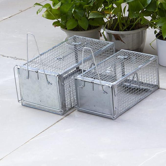 SZHLUX 2-Pack Humane Rat Trap, Mouse Traps Work for Indoor and Outdoor,Small Rodent Animal-Mice Vole Chipmunk Hamsters Live Cage,Catch and Release(SZ-SL3616D2S)