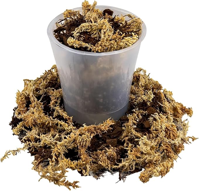 Premium Orchid Mix by GARDENERA | Fern + New Zealand Pine Bark + Sphagnum Moss + Perlite | Best for Growing and Repotting Orchids - 5 Quart Bag