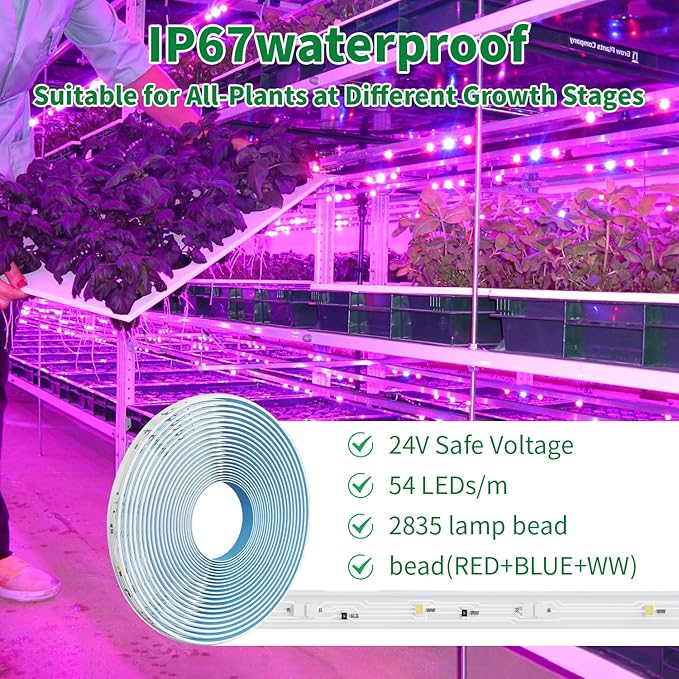 LED Grow Light Strips, 100FT APP Control IP67 Waterproof, 24W Full Spectrum, Auto ON&Off 4/8H Timer, 2.4G Remotely,10 Dimmable Levels for Indoor Plant Growing (Red Bulb WW)