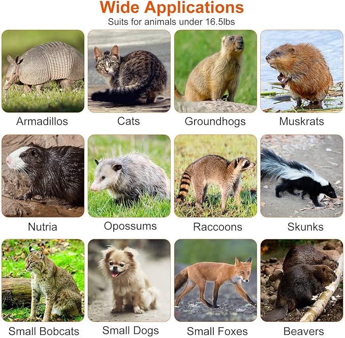 iMounTEK Humane Live Animal TrapLarge Humane Cat Trap Catch Release Animal Rodent Cage Collapsible Galvanized Wire for Small Raccoons Beavers Groundhogs Foxes Armadillos