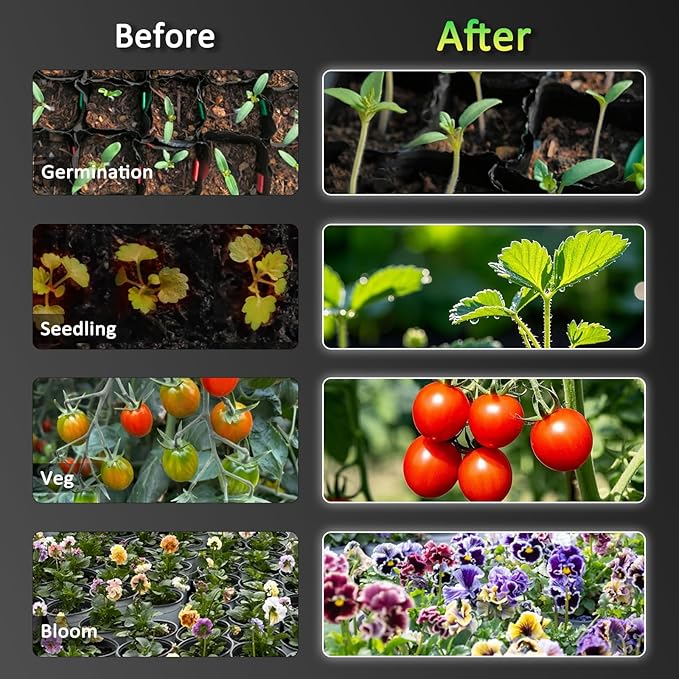 BLOOMINGREEN LED Grow Lights for Indoor Plants 200W Full-Spectrum Daisy Chain Grow Lamp with Samsung LM301B Diodes&672pcs LEDs,Dimmable Growing Light Fixtures in Greenhouse Vegetable Flower 2x2/3x3ft