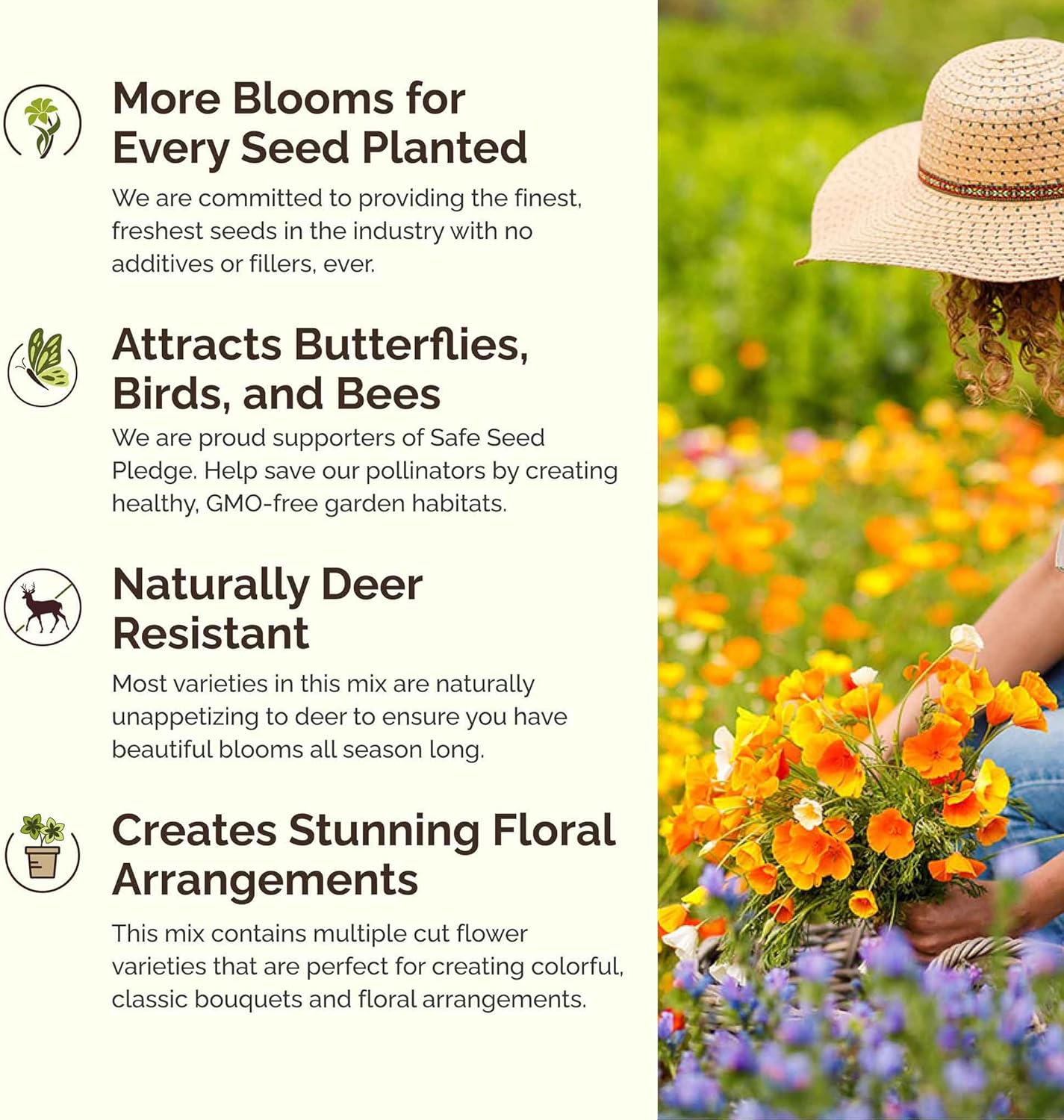 Eden Brothers Rugged Beauty Flower Mixed Seeds for Planting, 1/4 lb, 120,000+ Seeds with Cornflower Tall Blue, Candytuft | Attracts Pollinators, Plant in Spring or Fall, Zones 3, 4, 5, 6, 7, 8, 9, 10