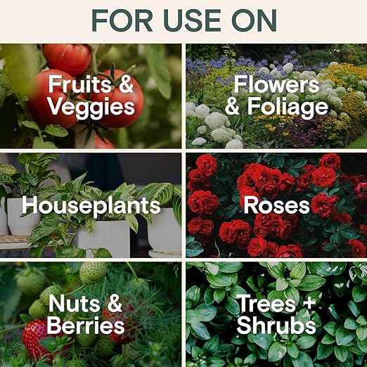 Organic Food & Fertilizer – Liquid Nutrients for Houseplants, Indoor & Outdoor Growth, House Fertilizer for Vegetables, Flowers, Monstera, Bougainvillea, Money Tree - (Organic Nutrition & Health Set)