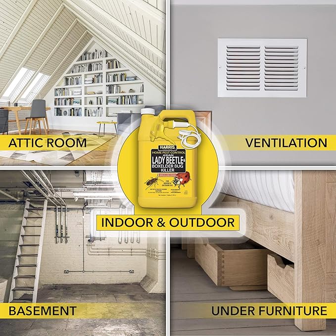 Harris Asian Lady Beetle, Japanese Beetle, and Box Elder Killer, Liquid Spray with Odorless and Non-Staining Extended Residual Kill Formula (Gallon)