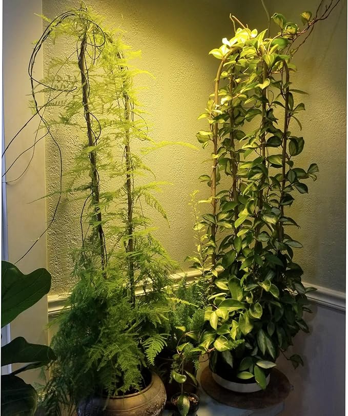 Avalution 10 Pcs Natural U-Hoops Bamboo Garden Trellis, 4 Ft Bamboo Trellis U-Shape Plant Support for Climbing Plants Indoor and Outdoor Use