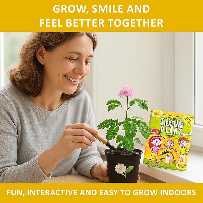 TickleMe Plant Get Well Soon Kit (1 Pack) – Grow A Tickle Me Plant That Reacts to Touch – Leaves Fold Up When You Tickle Them – Full Grow Kit of Sensitive Plants Seeds for Kids to Grow Indoors