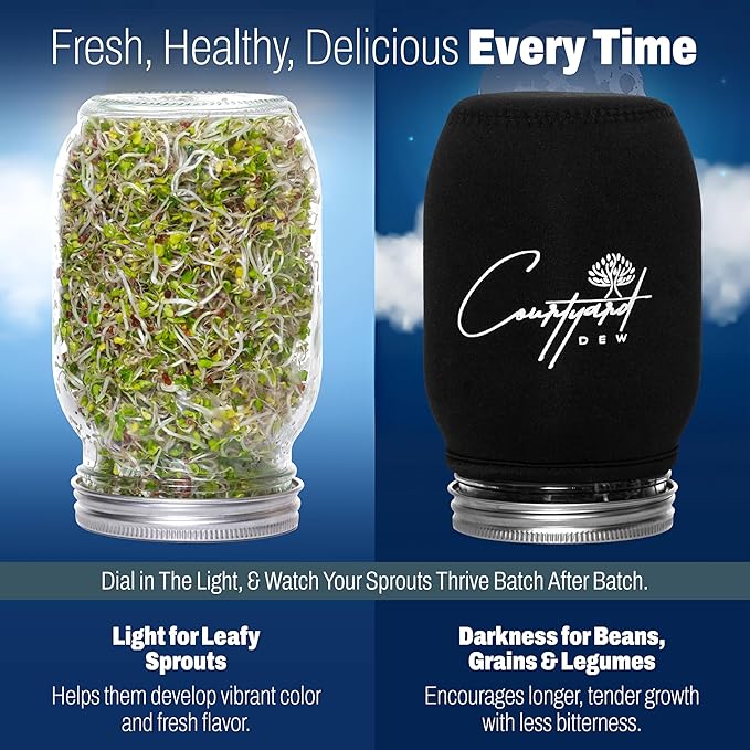 Sprout Growing Kit – Green Onion Regrower, 2 Wide-Mouth Mason Jars with Screen Lids, Blackout Sleeves & Ceramic Tray – Easy Microgreens Growing Kit for Alfalfa, Broccoli, Mung Beans