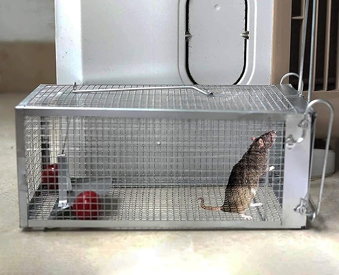 2-Pack Humane Rat Traps, Live Mouse Rat Cage Traps Catch and Release for Indoor Outdoor, Small Animals Traps, Easy to use,(10.6"x 5.5"x 4.5")