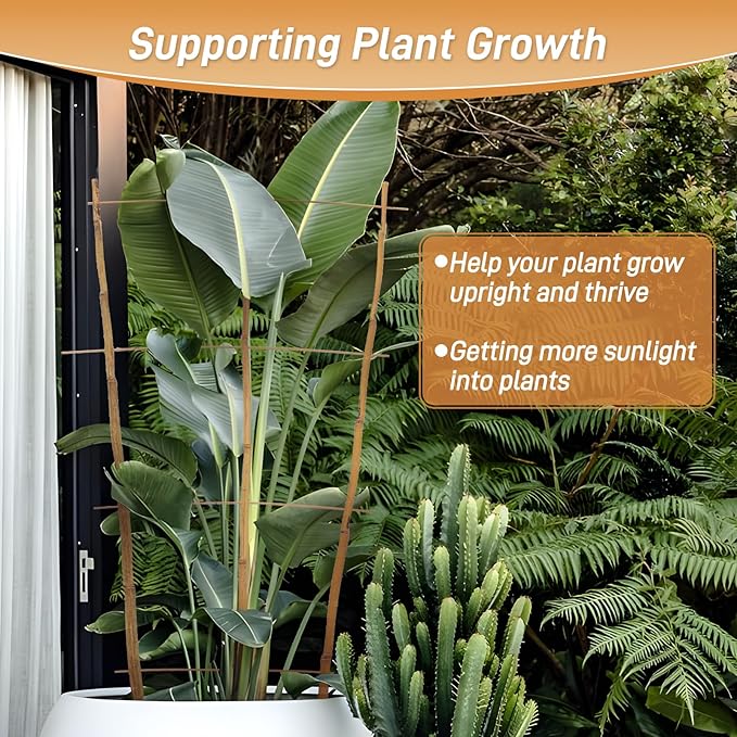 10 Pack 3ft Bamboo Trellis for Climbing Plants-Natural Garden Ladder Trellis, Fan -Shaped Support Trellis for Potted Plant Decor in Door