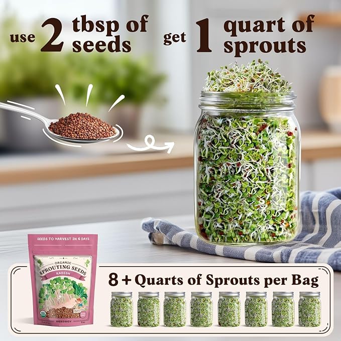 Seedboy Organic Radish Seeds for Sprouting - Non-GMO, USA Grown Microgreens Sprouting Seeds Mix - Makes 8 Quarts of Sprouts, 24 Servings (8 oz) (Daikon Radish)