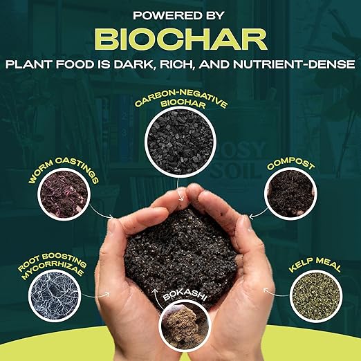 Rosy Soil Plant Food - Microbially Active Fertilizer for Houseplants, Herbs, Flowers – Enriched with Biochar, Kelp, and Worm Castings – Organic Food for Healthy Growth – 2 Quarts