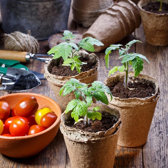 Peat Pots for Seedlings 3.15 Inch, Biodegradable Round Seed Starter Pots with 10 Plant Labels for Garden Germination, Nursery Pot with Drainage Holes (40 Pack/3.15 Inch)