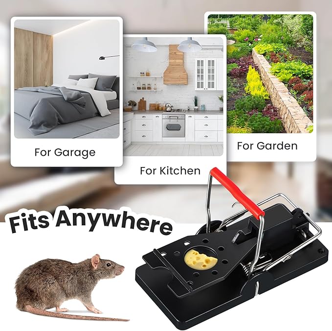 Qualirey 18 Pcs Plastic Mouse Rat Traps House Indoor Quick Effective Safe for Warehouse Garden Kitchen 3.86 x 1.81 x 2.17 Inch (Black,Red)