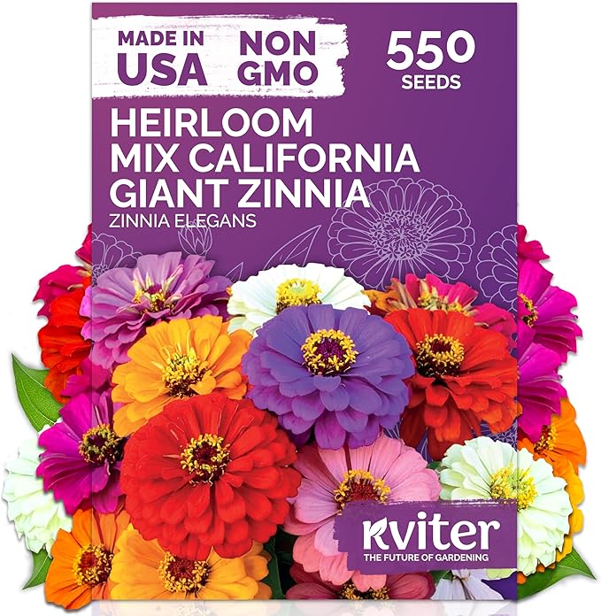 KVITER 550 California Giant Zinnia Seeds for 2025 (Zinnia Elegans) – Heirloom & Non GMO Double Blooms, Pollinator Magnet – Ideal Flower Seeds for Planting in Garden, Containers, Cutting Beds