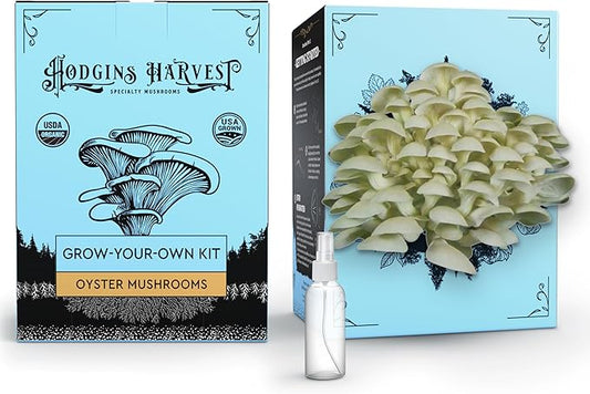 Oyster Mushroom Grow Kit | USDA Certified Organic | Grow Your Own Delicious Gourmet Mushrooms at Home