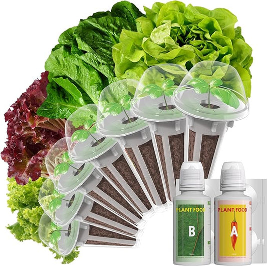 LYKOCLEAN Salad Romaine Lettuce Pods for AeroGarden, Ahopegarden, iDOO Hydroponics Growing System, 350 Seeds+ Including American Fast Lettuce, Paris Island Cos Lettuce, Buttercrunch Lettuce(7-Pods)