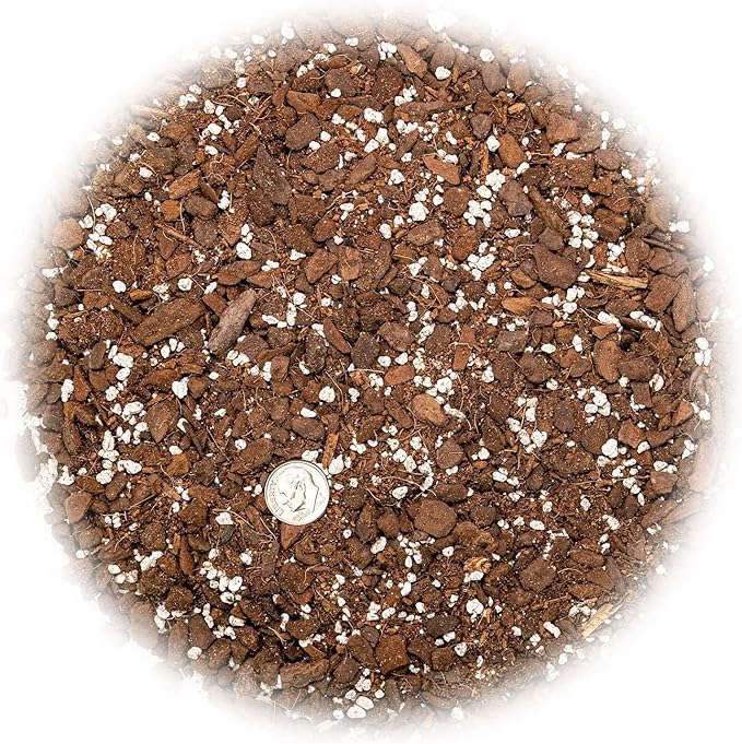 Premium Carambola Potting Soil Mix - Perfect Balance of Nutrients, Drainage, and Aeration for Thriving Starfruit Trees - 3 Quart