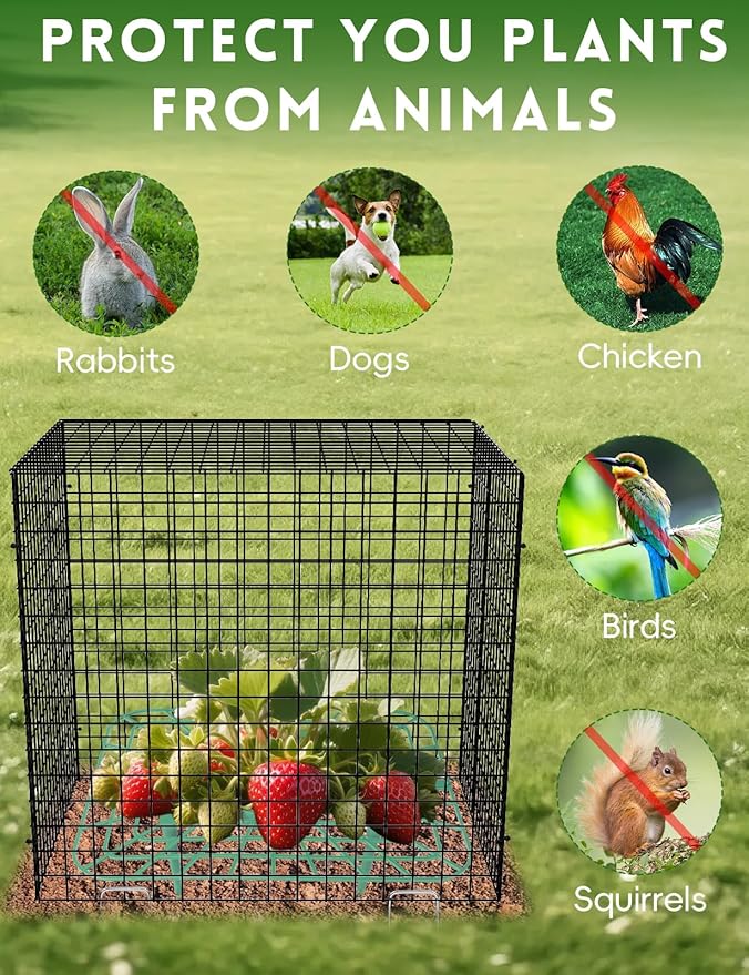 5 Pack Plant Protector from Animals, Square Metal Plant Cages Chicken Wire Cover Mesh Plant Cage, Garden Plant Protector for Plants Flower Vegetable to Keep Animals Out (12x12 in)